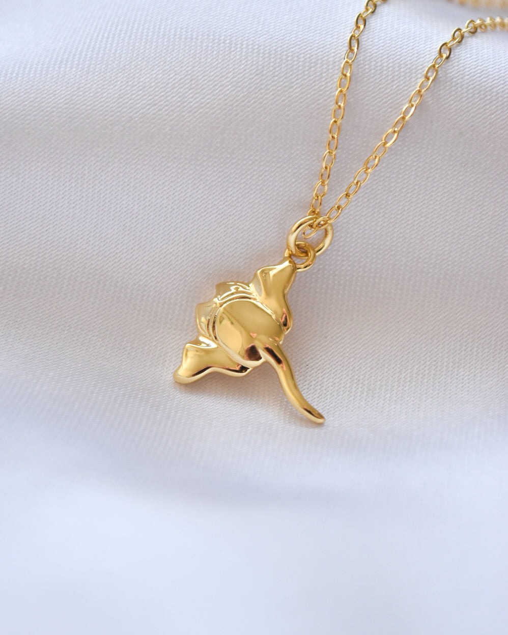 Collar Mantarraya Dorada