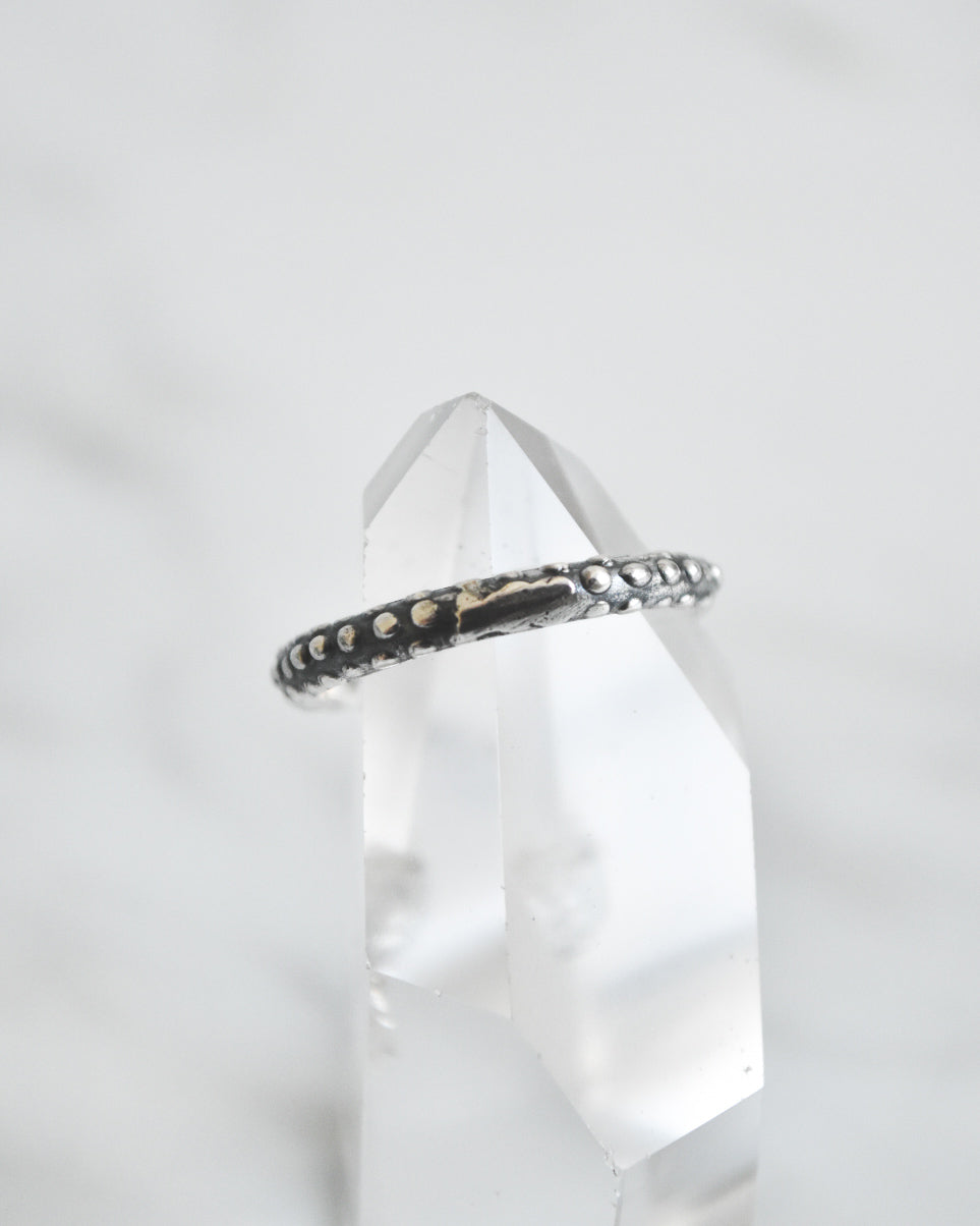 Anillo Serpiente Ancestral – Plata 925 tailandesa