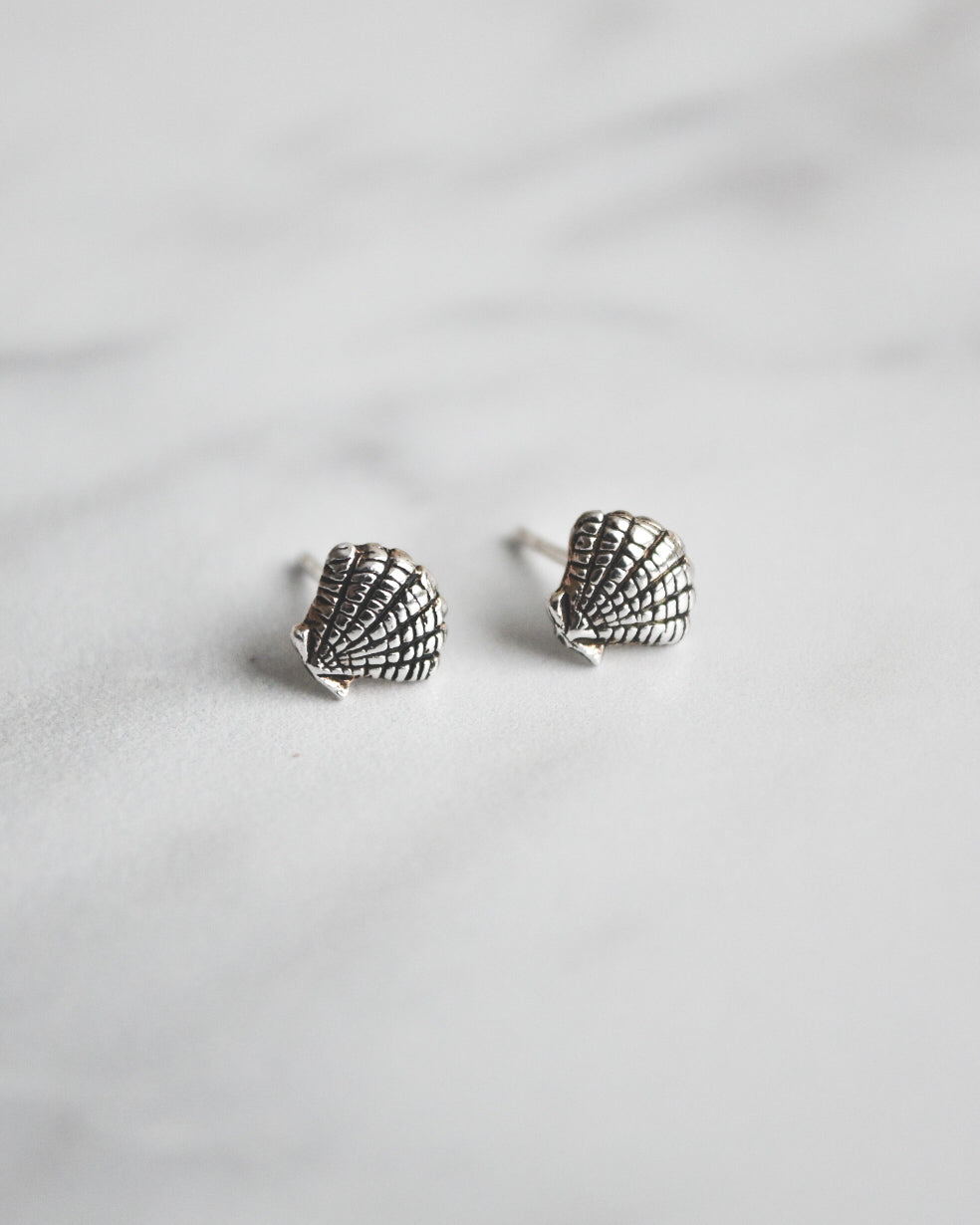 Pack Conchitas | Aros y pulsera de plata 🌊