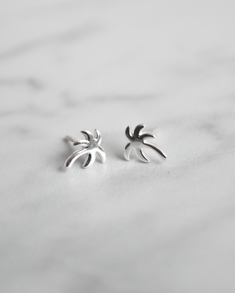 Aros de Plata 925 Palmera