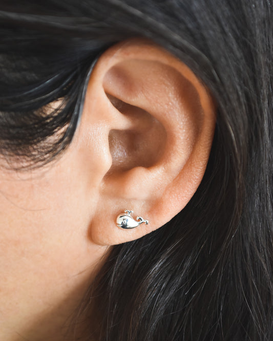 Aros de Plata 925 Ballena