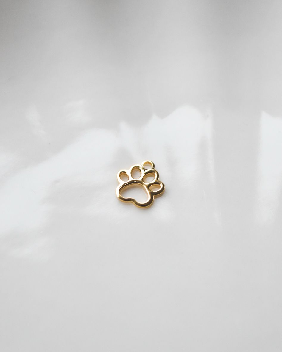 Dije de Patita Bañado en Oro