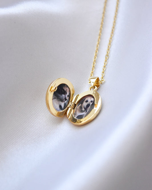 Relicario Ovalado Estrella en Circones Bañado en Oro