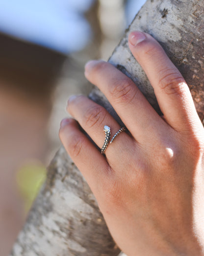 Anillo Serpiente Ancestral – Plata 925 tailandesa