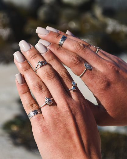 Anillo Tortuga en plata 925