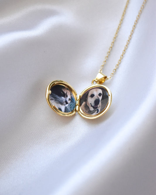 Relicario Perrito con Circones Bañado en Oro