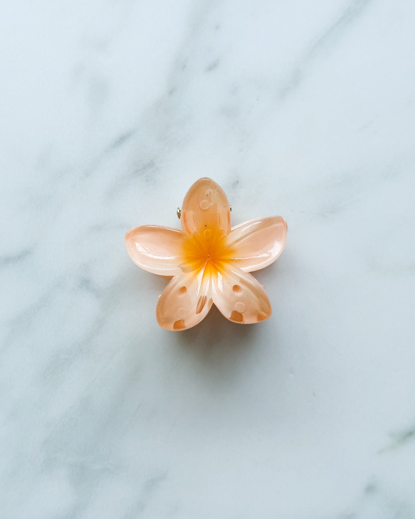 Mini pinche de flor hawaiana