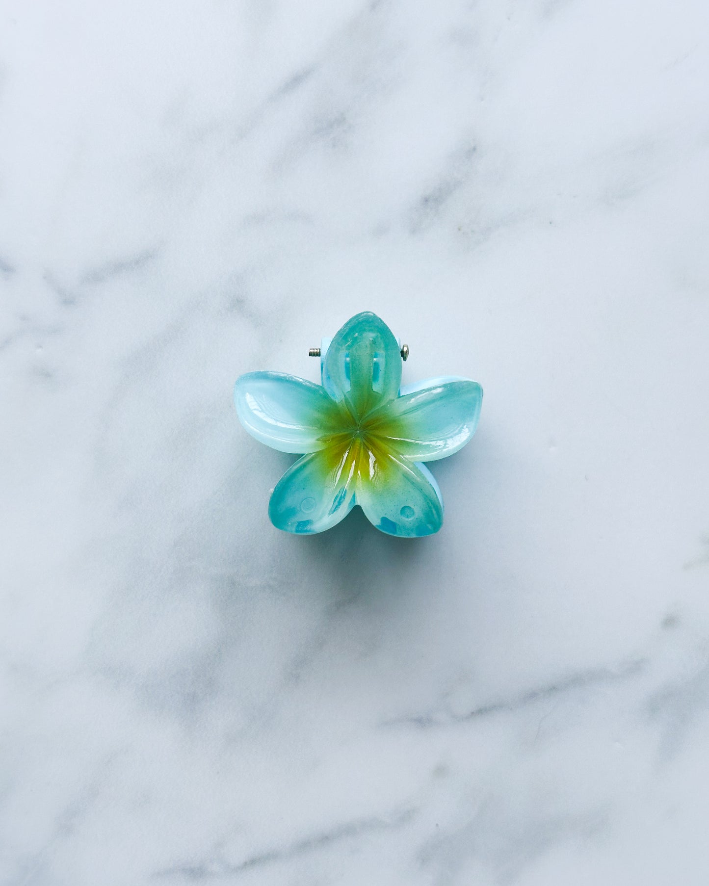 Mini pinche de flor hawaiana