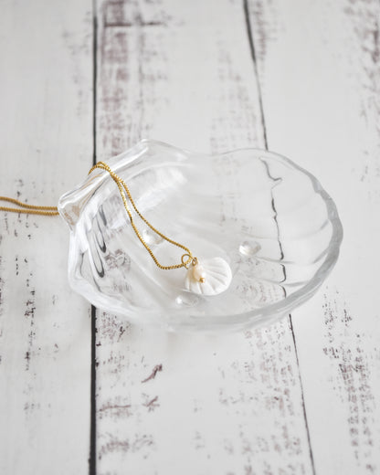 Joyero conchita de vidrio – Transparente y delicado