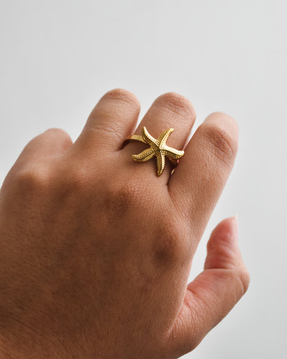 Anillo Estrella Serena