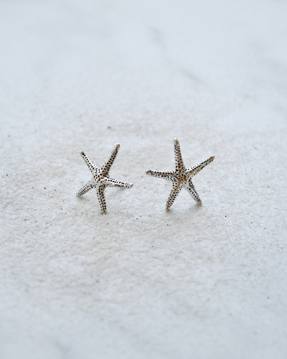 Aros Estrella de Mar Plata 925