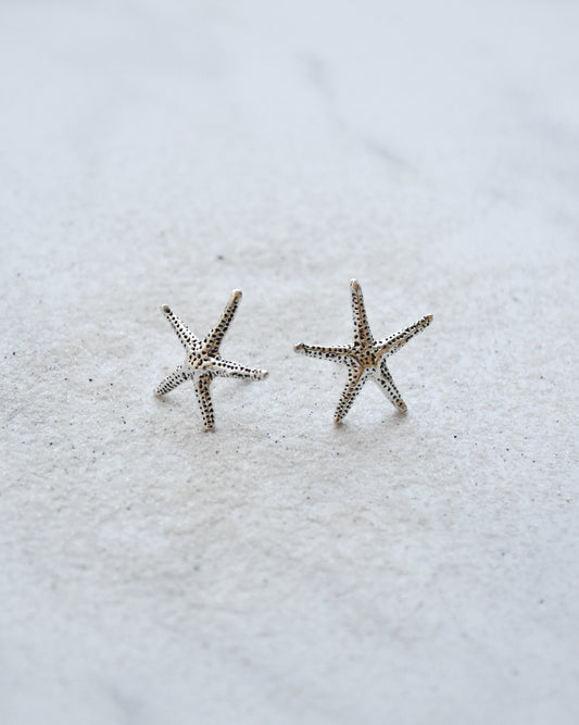 Aros Estrella de Mar Plata 925