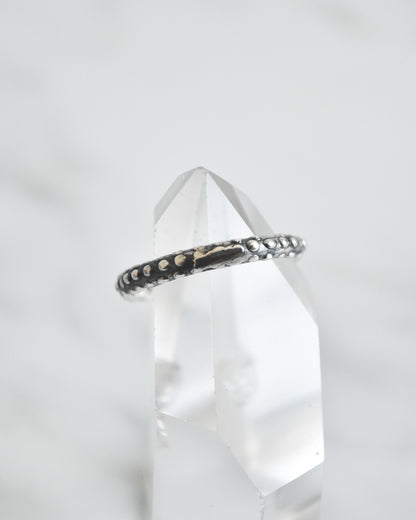 Anillo Serpiente Ancestral – Plata 925 tailandesa