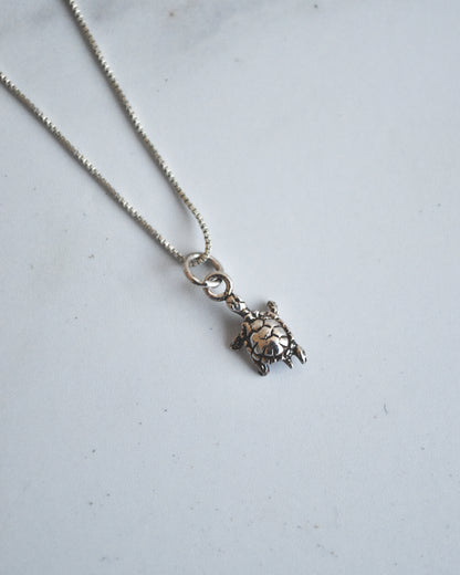 Collar Mini Tortuga de Plata 925