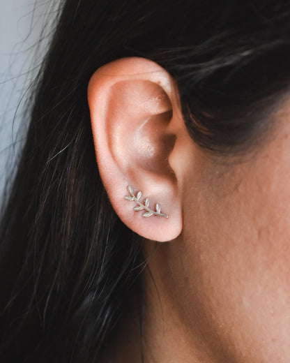 Aros Trepadores de Plata 925 Rama