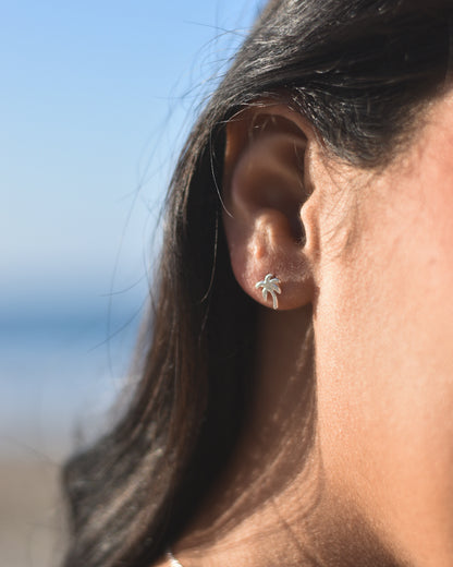 Aros de Plata 925 Palmera