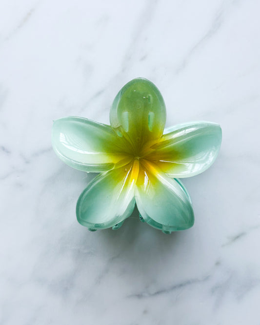 Pinche de flor hawaiana