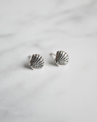 Pack Conchitas | Aros y pulsera de plata 🌊