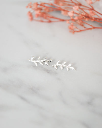 Aros Trepadores de Plata 925 Rama