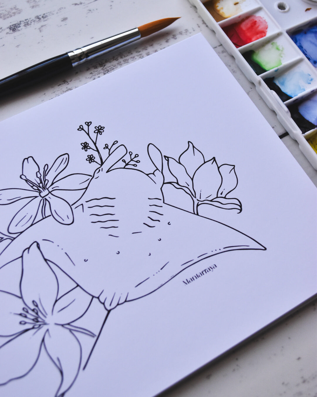 Océano Botánico – Libro de Ilustración para colorear inspirado en el Mar