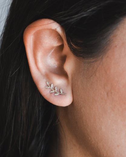 Aros Trepadores de Plata 925 Rama